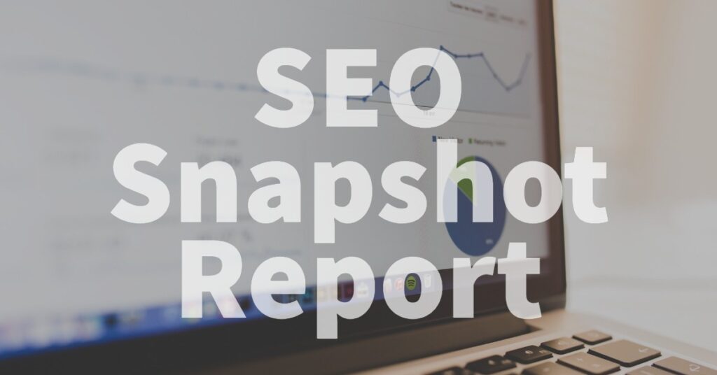 Seo-Snapshot-Report--Get-Clear-On-Your-Current-Status-And-Set-Goals-For-Future-Growth