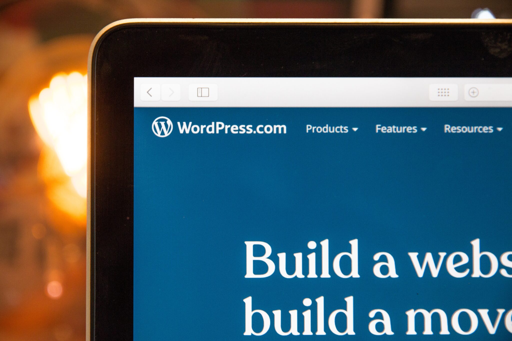 Which Type of WordPress Theme Should I Use For My New Blog?